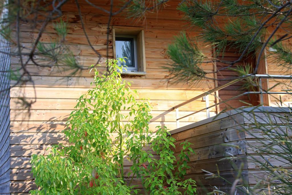 Residence Cala Sultana Porto-Vecchio  Ngoại thất bức ảnh